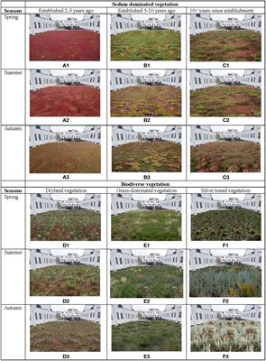Seasonal variation in preference for green roof vegetation